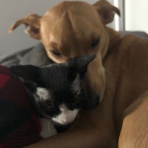 Meet your Posher, Christa